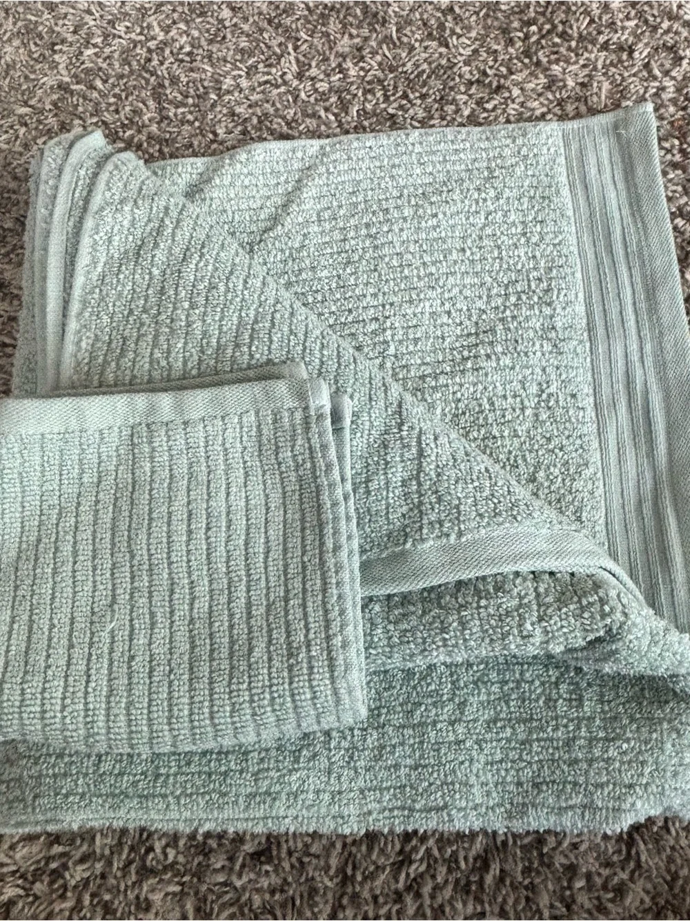 The Company Store Sage Green Plush Bath Towels - Soft Textured Set
